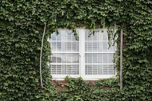 Understanding The Advantages of Light-Filtering and Blackout Blinds